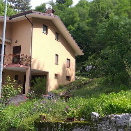 Terrazza Sul Borgo Villa Venzone Exteriör bild