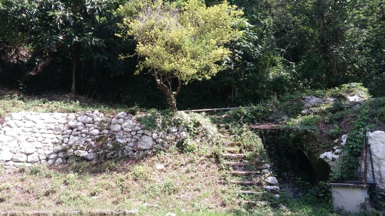 Terrazza Sul Borgo Villa Venzone Exteriör bild
